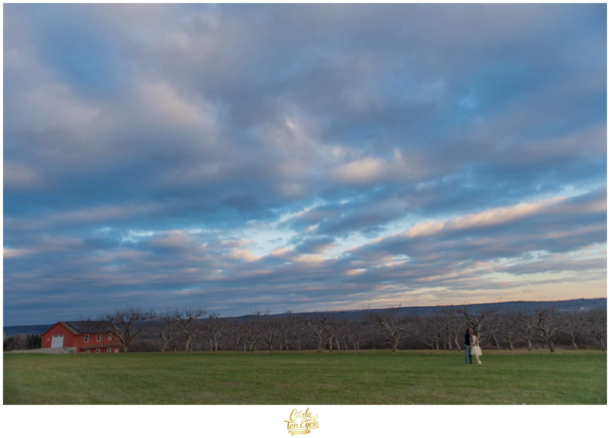 Allen Hill Christmas Tree Farm Engagement session with Carla Ten Eyck