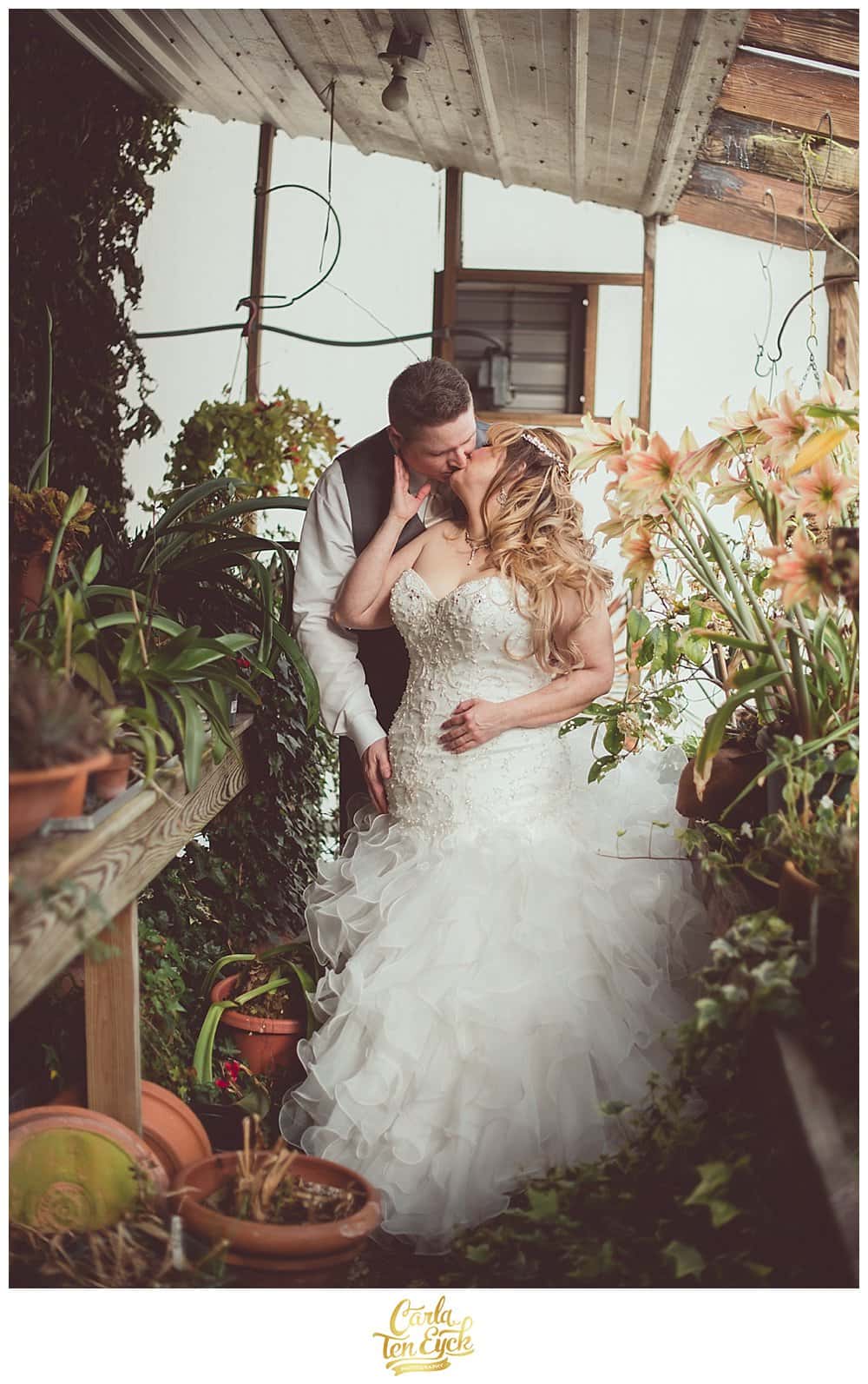 Bride and groom kiss in the greenhouse after their vow renewal at Hopkins Vineyard CT
