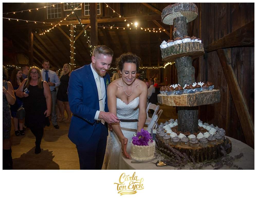 A couple cuts their cake at their wedding in the barn at the Webb Barn in Wethersfield CT