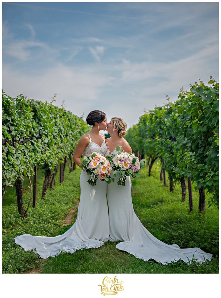 Two brides kissing in the vines at their wedding at Jonathan Edwards Winery, North Stonington CT