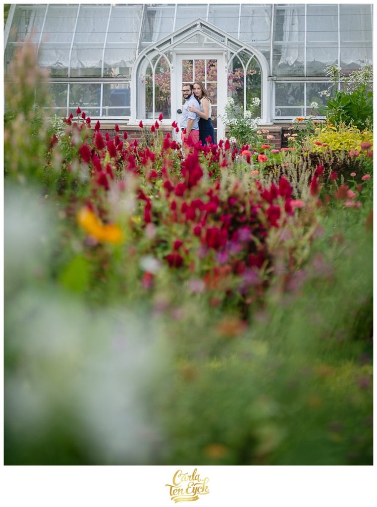 Engagement session in the flower gardens at Elizabeth Park in Hartford CT