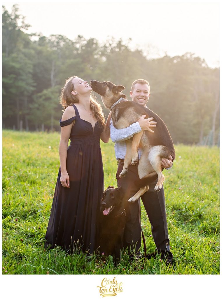 Couple with their German Sheppards at their engagement session at Heritage Homestead in Northford CT