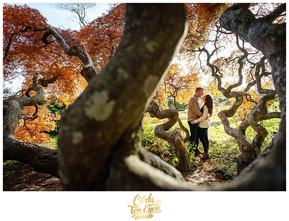 A couple hugs during their autumn engagement in Harkness Park Waterford CT