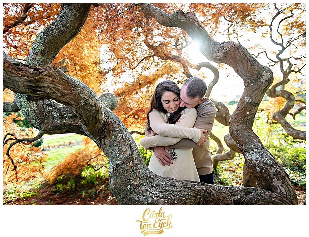 Couple hugs under the Japanese Maple tree at Harkness Memorial Park in Waterford CT