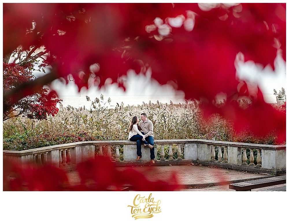 Autumn engagement session by red trees at Harkness Park in Waterford CT