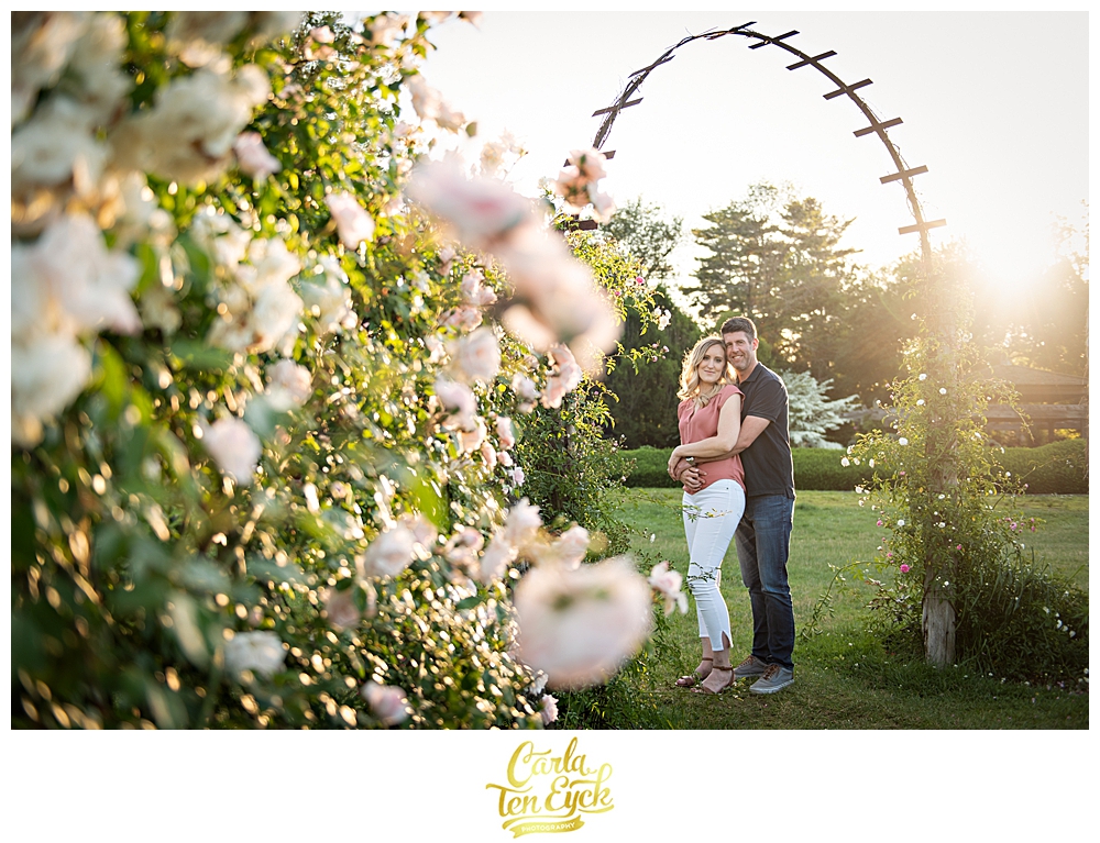 Couples snuggles at sunset during their engagement session in the rose garden in Elizabeth Park Hartford CT
