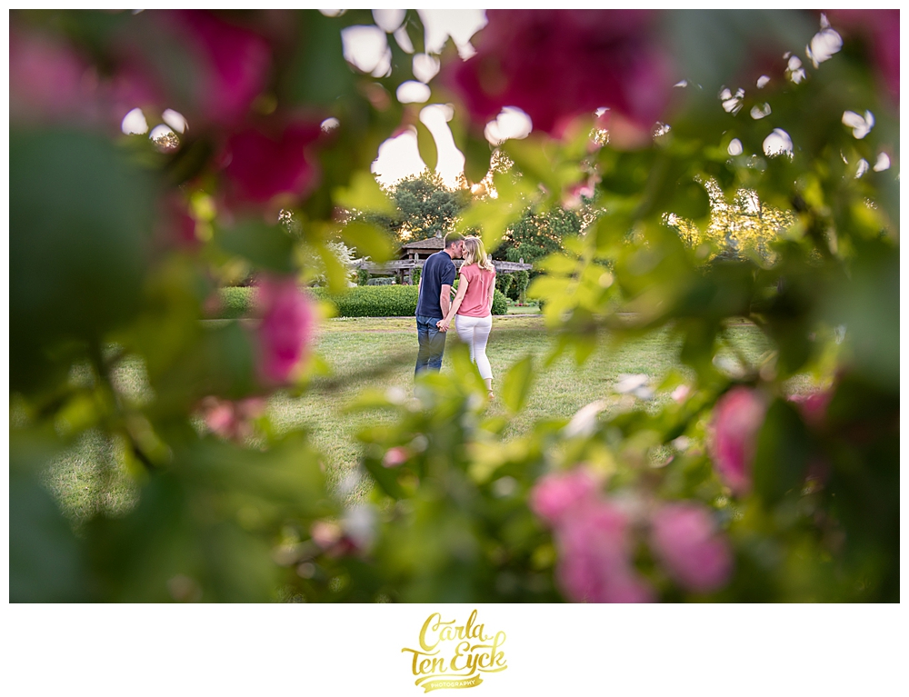 Couples kisses with the roses in the foreground at Elizabeth Park Hartford CT
