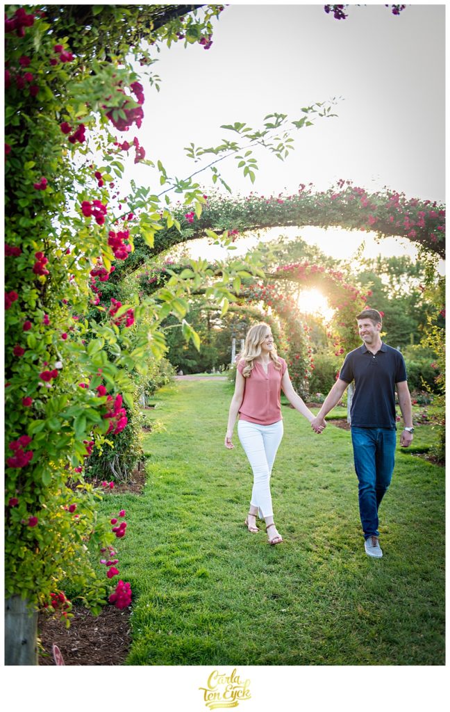 Couple walks hand in hand down the arches of roses in Hartford's rose garden in Elizabeth Park