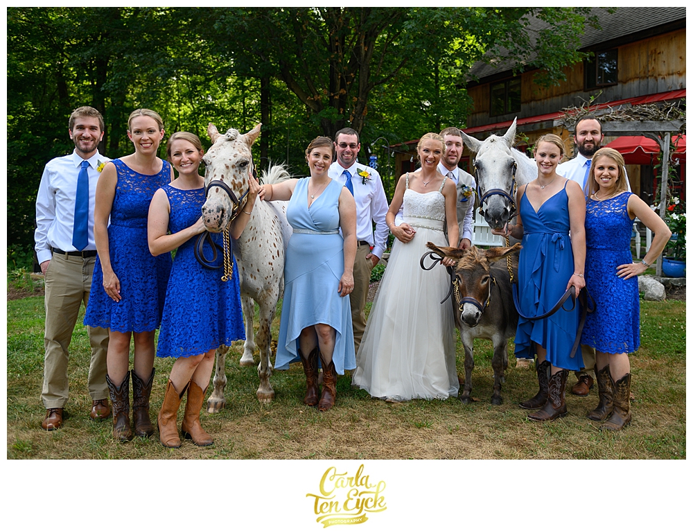 Wedding party with horses and a donkey at Flamig Farm Simsbury CT