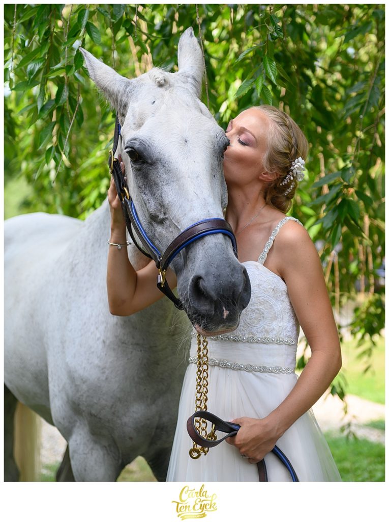 Bride kisses her horse at her wedding at Flamig Farm Simsbury CT