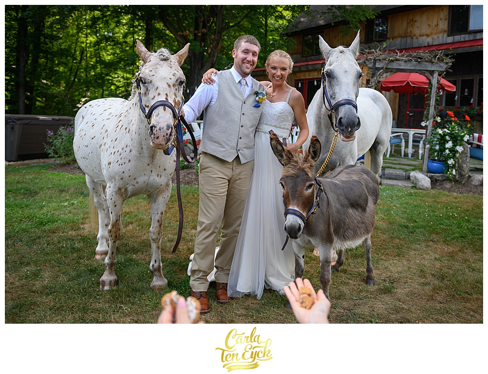 Bride and groom with wedding party horses at Flamig Farm in Simsbury CT