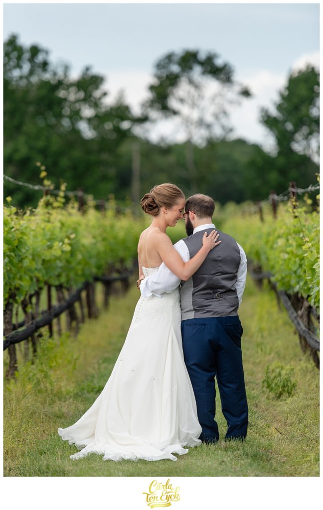 Bride and groom hug in the vineyard at Jonathan Edwards winery wedding in North Stonington CT
