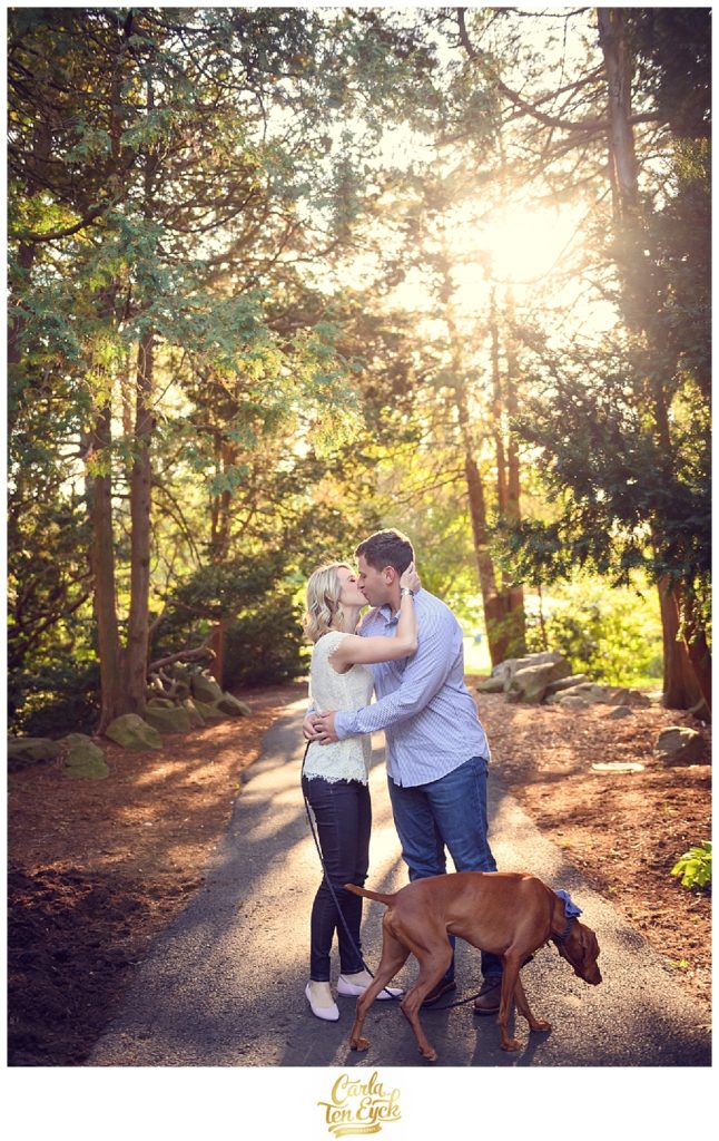 A couple walks their Vizsla at Elizabeth Park in Hartford CT at their engagement session