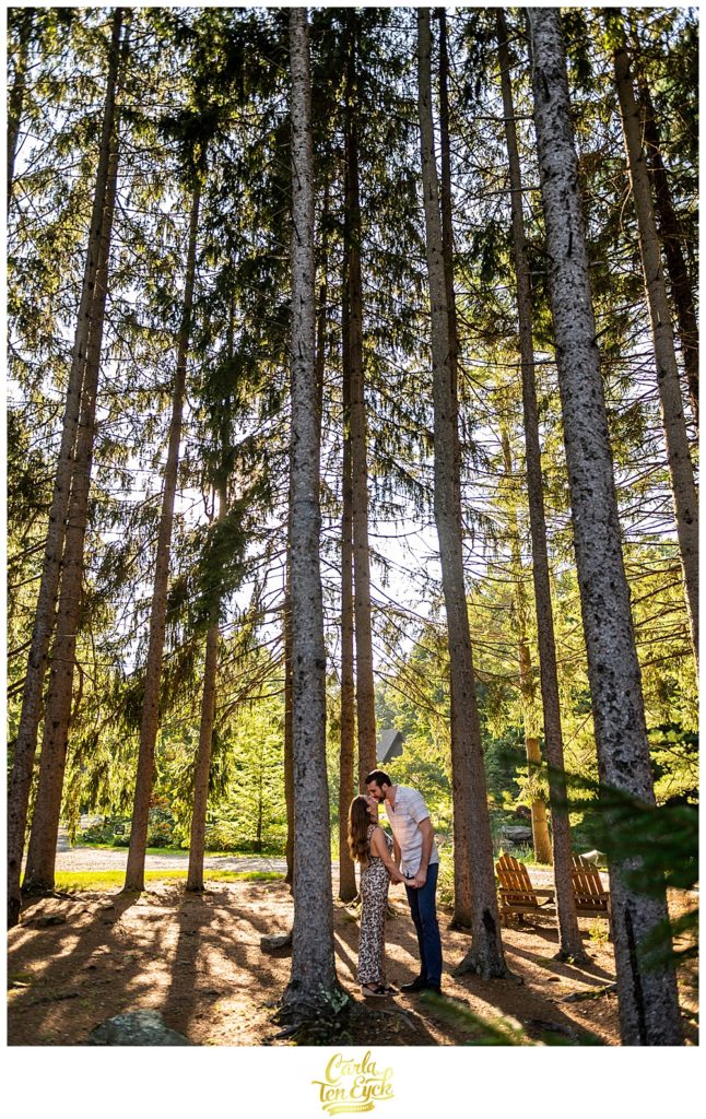 A couple kisses in the forest at Chatfield Hollow Inn in Killingworth CT during their engagement session