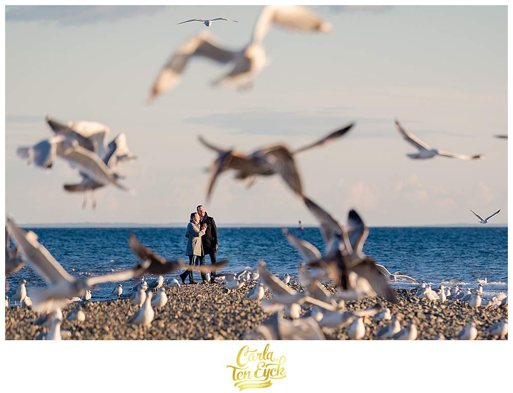 Two grooms surrounded by seagulls during their winter beach engagement sessions at Silver Sands in Milford CT