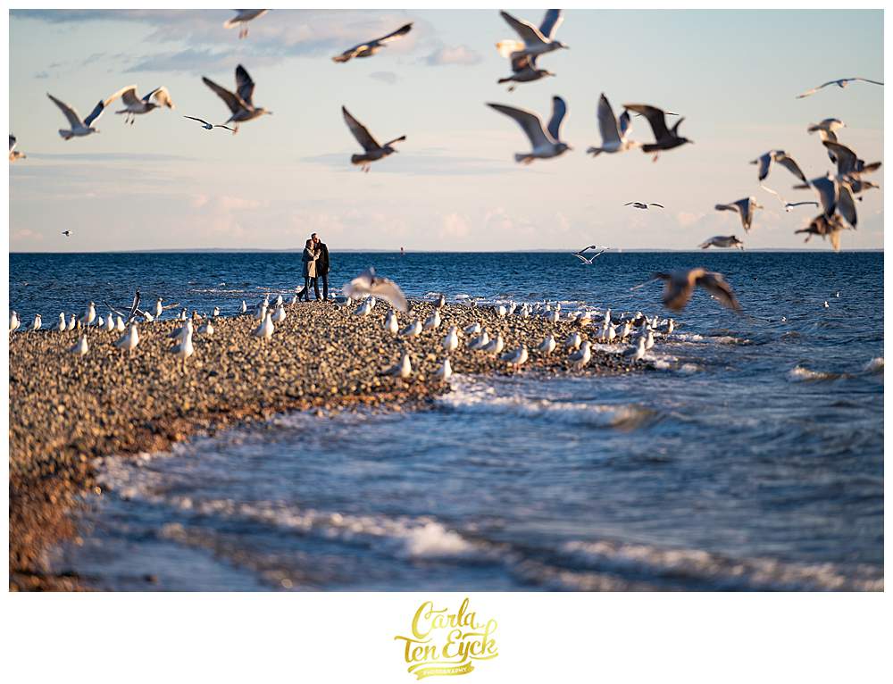 Two grooms are surrounded by seagulls during their winter engagement session at Silver Sands beach in Milford CT