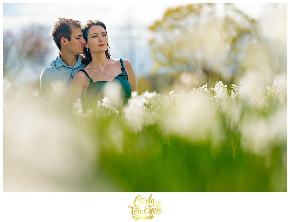 A couple in the daffodils during their spring Harkness Park engagement session in Waterford CT